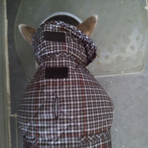 St. John's Bark Dog Coat - Picture 2 of 7